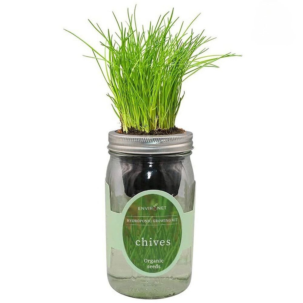 Chives Mason Jar Hydroponic Herb Kit with Organic Seeds