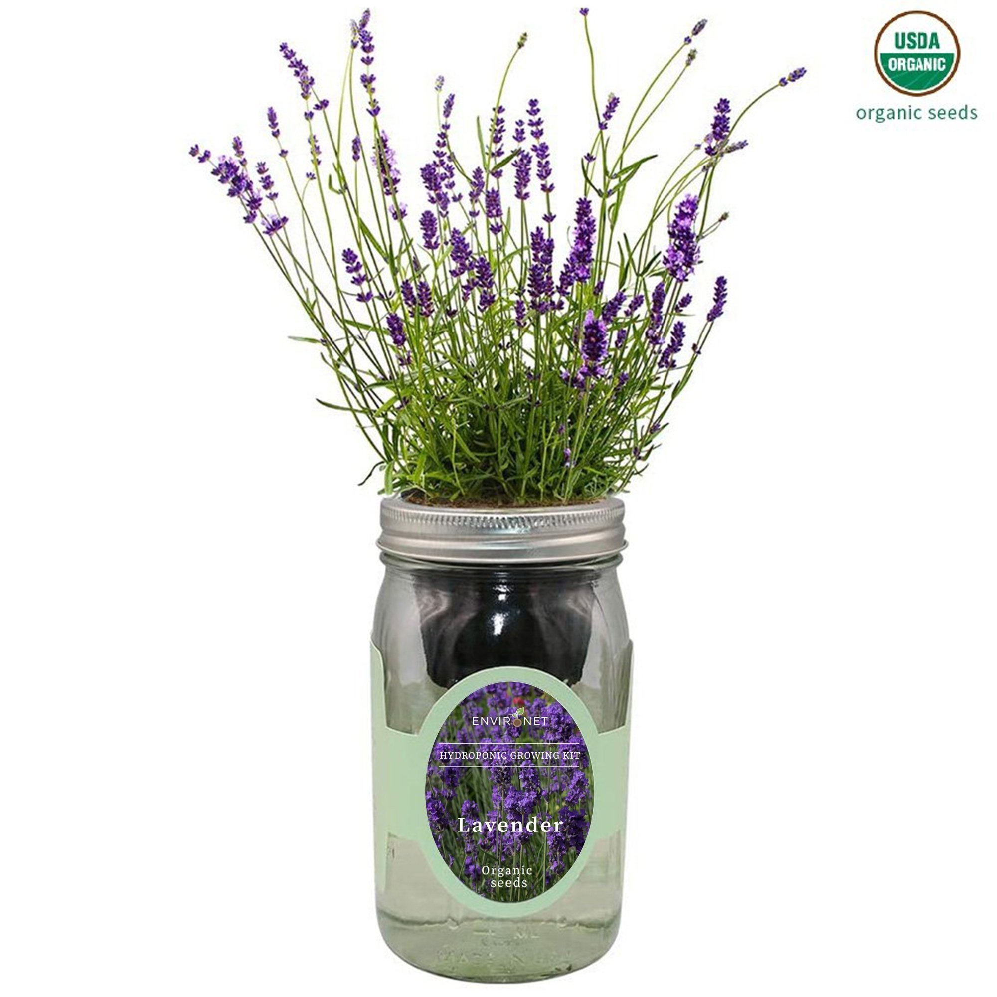Lavender Hydroponic Herb Growing Kit