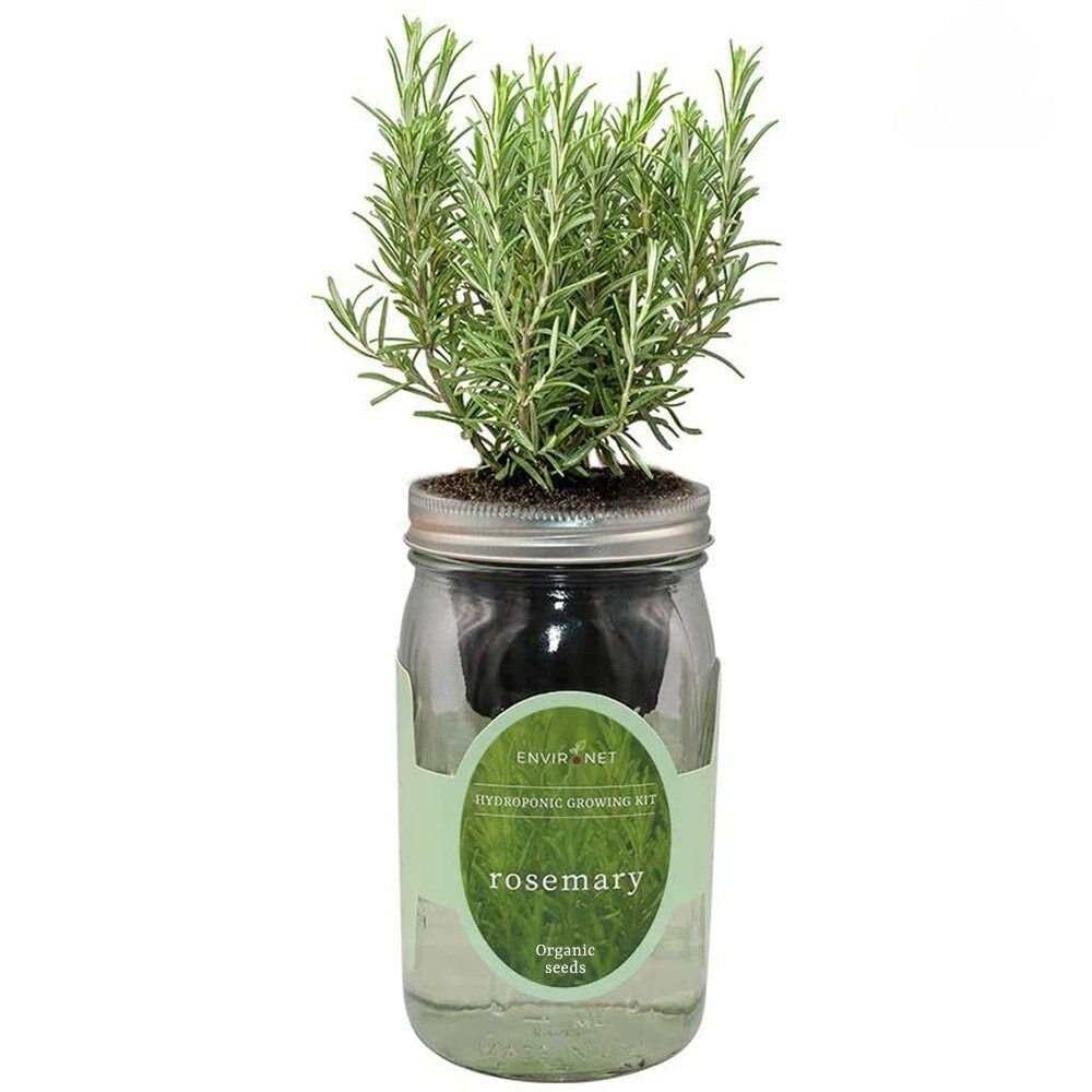 Rosemary Mason Jar Hydroponic Herb Kit with Organic Seeds