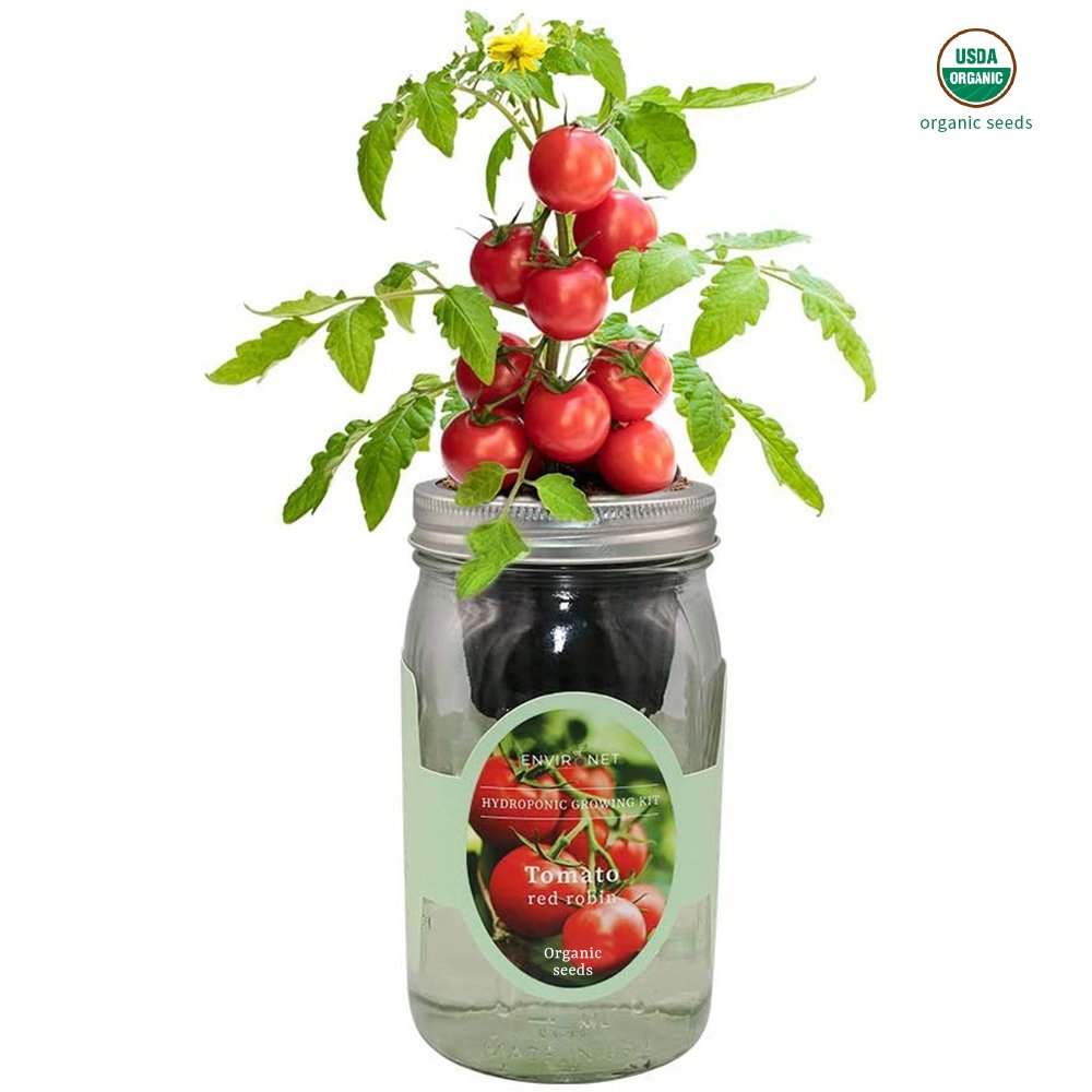Tomato- Red Robin Mason Jar Hydroponic Herb Kit with Organic Seeds