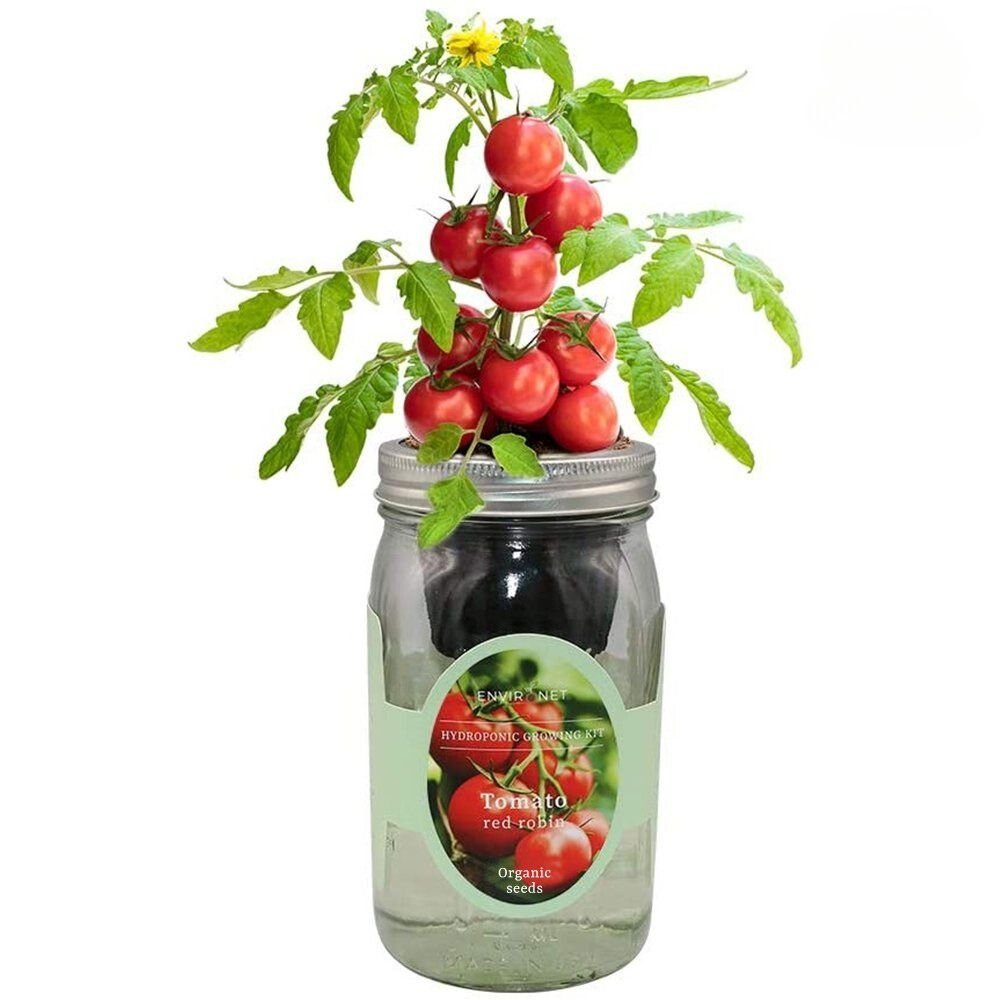 Tomato- Red Robin Mason Jar Hydroponic Herb Kit with Organic Seeds