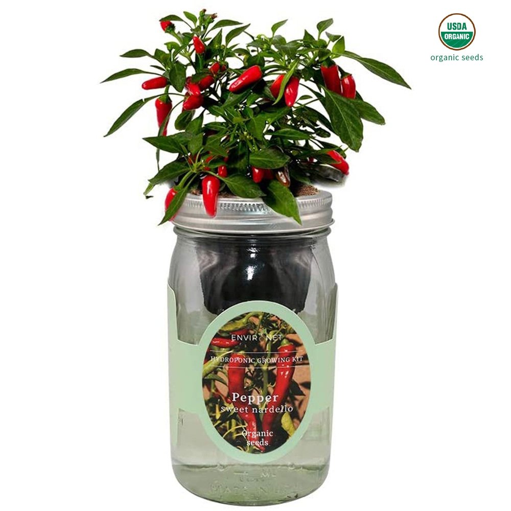 Pepper - Sweet Nardello Mason Jar Hydroponic Herb Kit with Organic Seeds