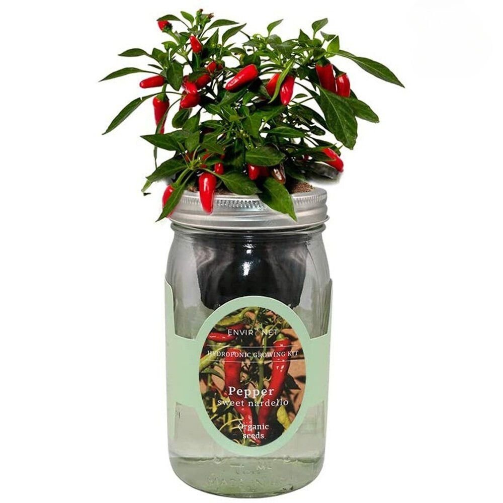 Pepper - Sweet Nardello Mason Jar Hydroponic Herb Kit with Organic Seeds