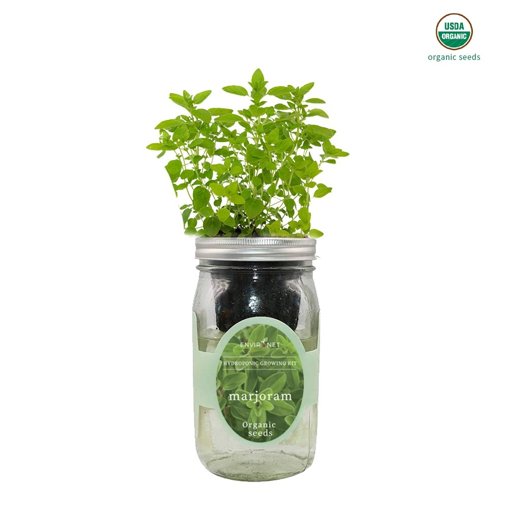 Marjoram Mason Jar Hydroponic Herb Kit with Organic Seeds