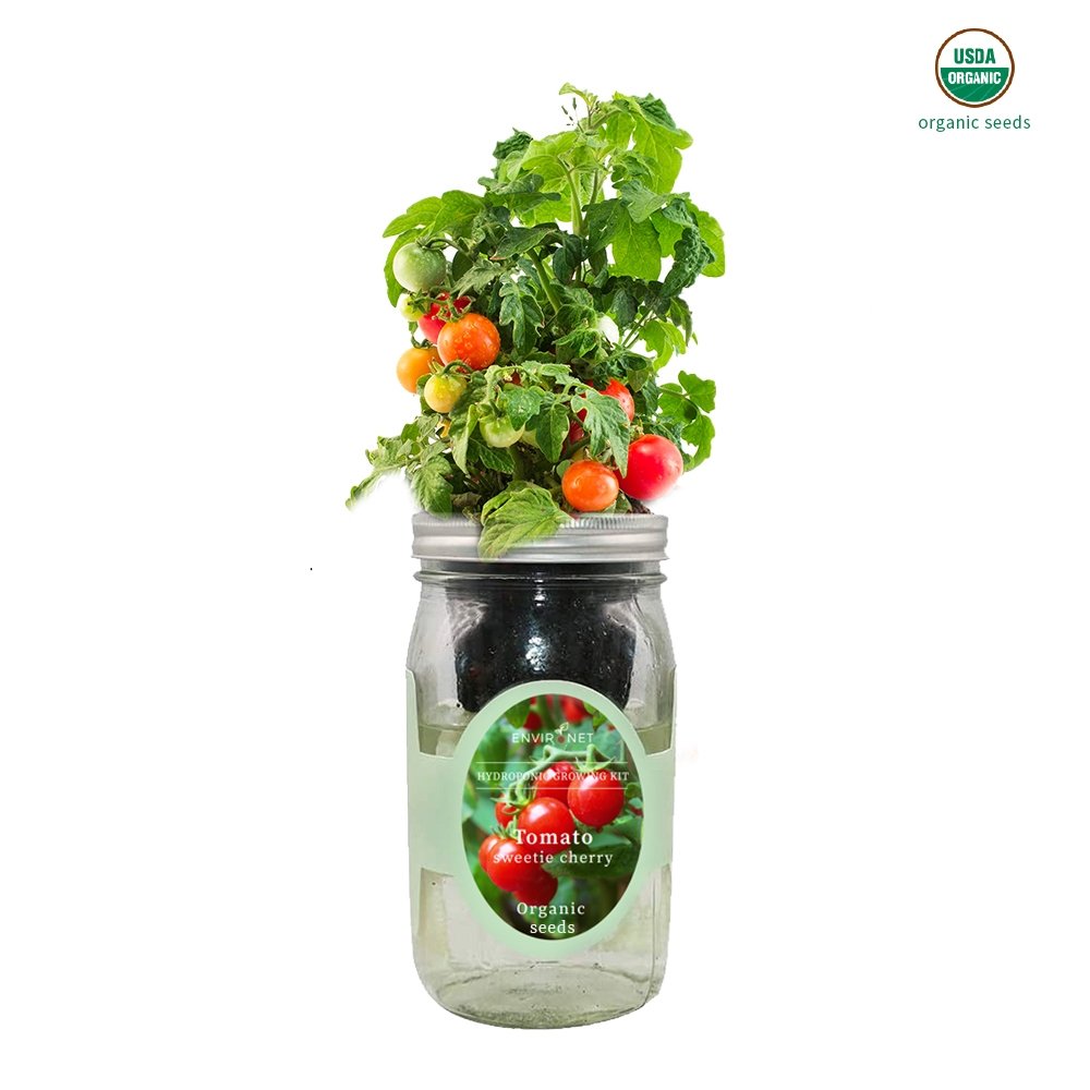 Sweetie Cherry Tomato Mason Jar Hydroponic Herb Kit with Organic Seeds