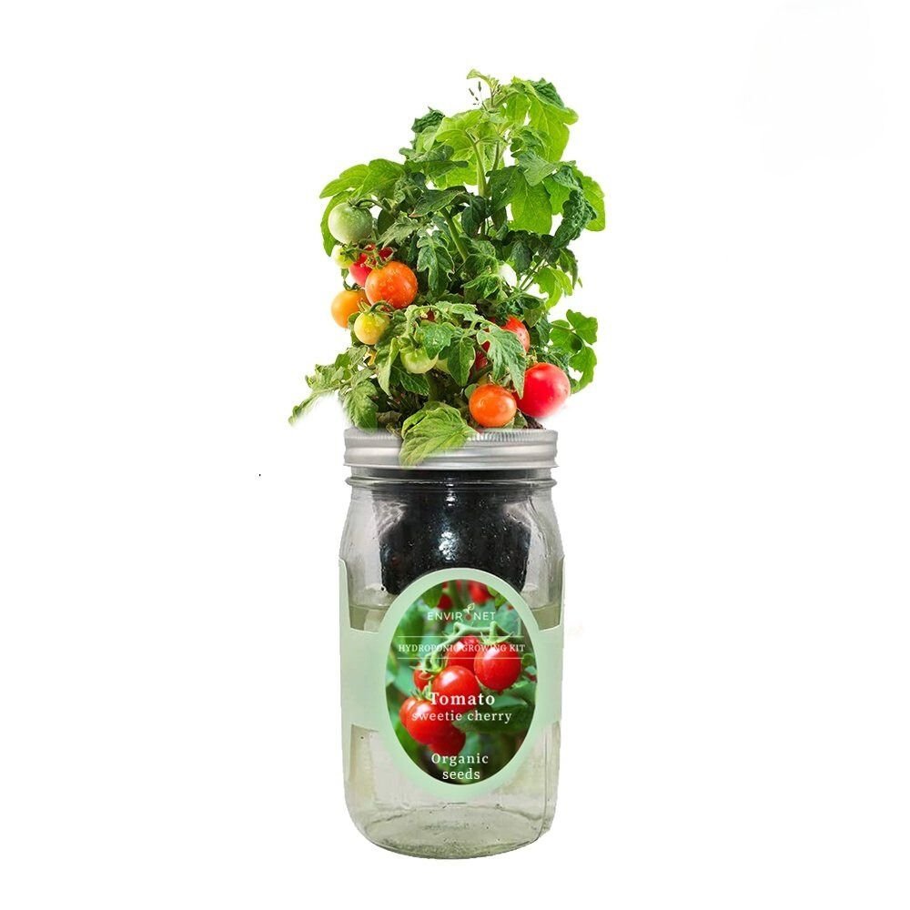 Sweetie Cherry Tomato Mason Jar Hydroponic Herb Kit with Organic Seeds