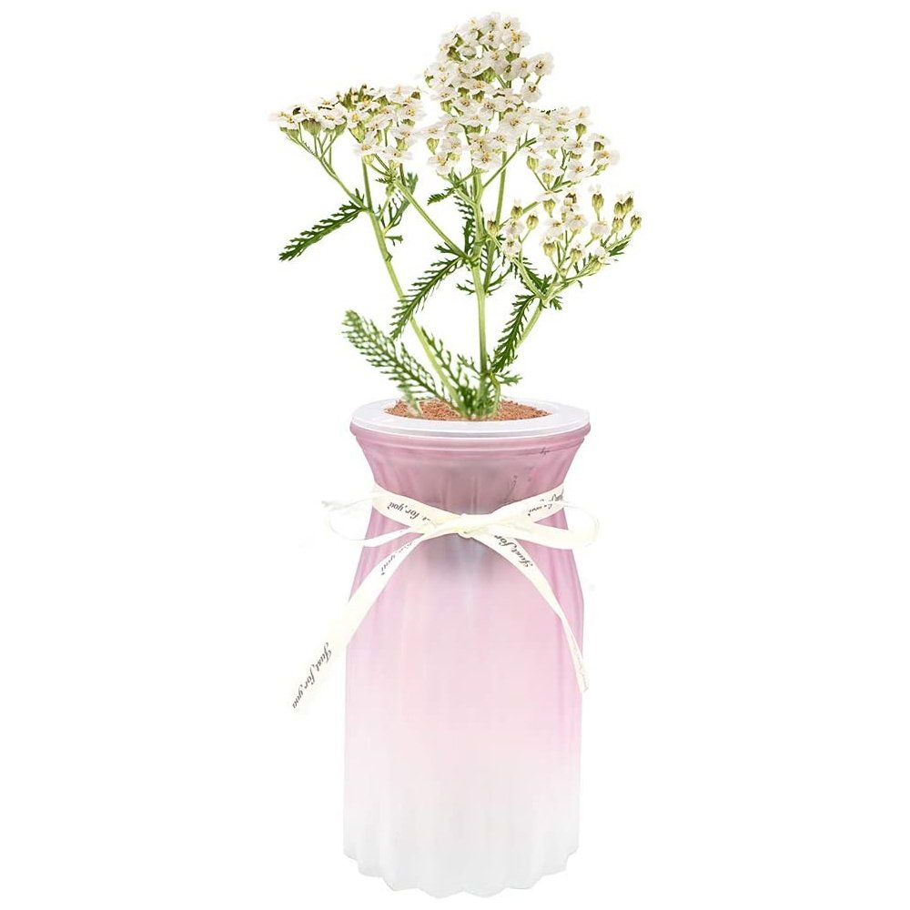 White Yarrow Glass Vase Hydroponic Herb Kit