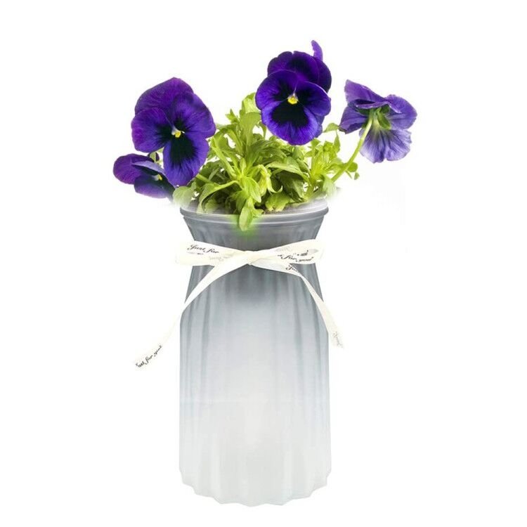 Pansy Glass Vase Hydroponic Herb Kit