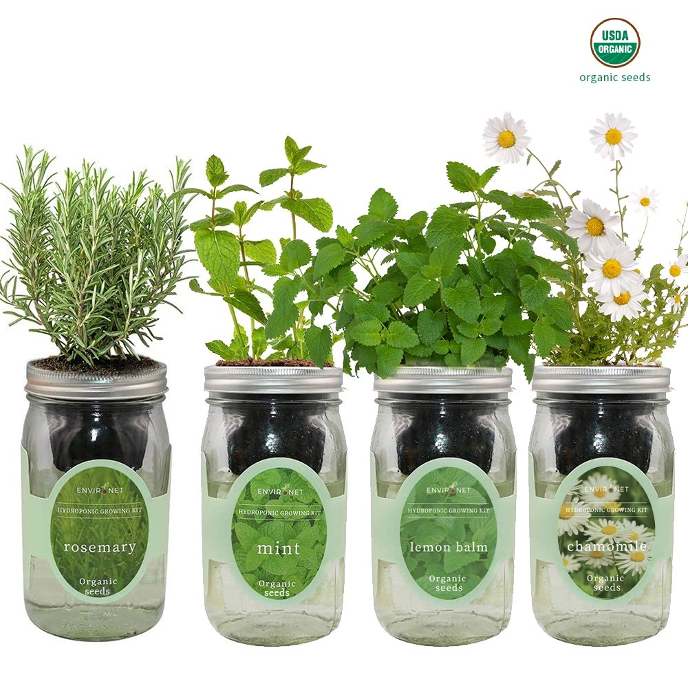 Herbal Tea Garden with Organic Seeds - Rosemary, Mint, Lemon Balm, Chamomile
