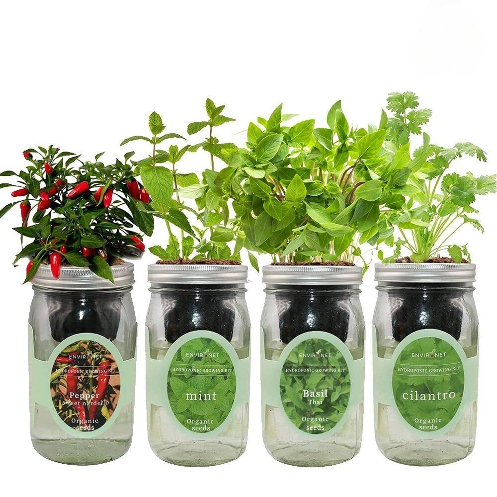 Taste of Asia Garden Bundle with Organic Seeds - Sweet Nardello Pepper, Mint, Thai Basil and Cilantro