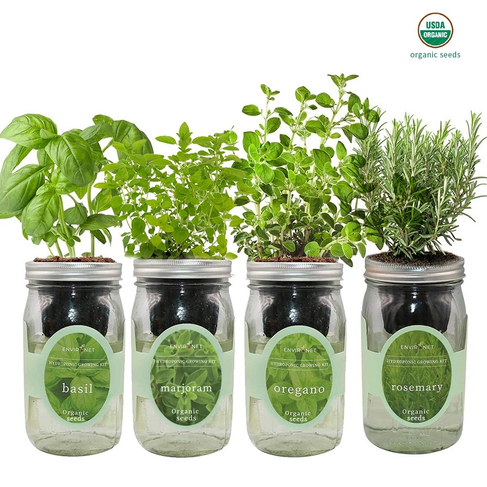 Italian Herb Blend Garden Bundle with Organic Seeds- Basil, Marjoram, Oregano, Rosemary