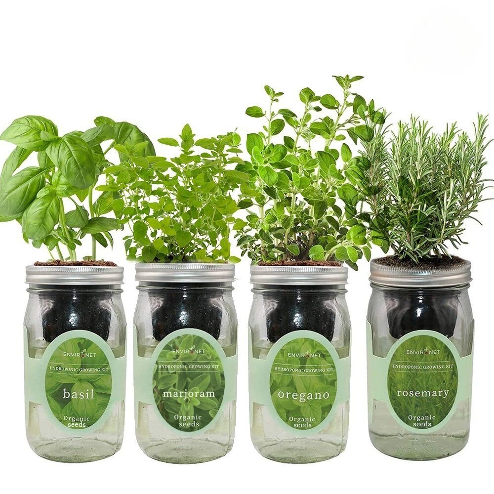 Italian Herb Blend Garden Bundle with Organic Seeds- Basil, Marjoram, Oregano and Rosemary