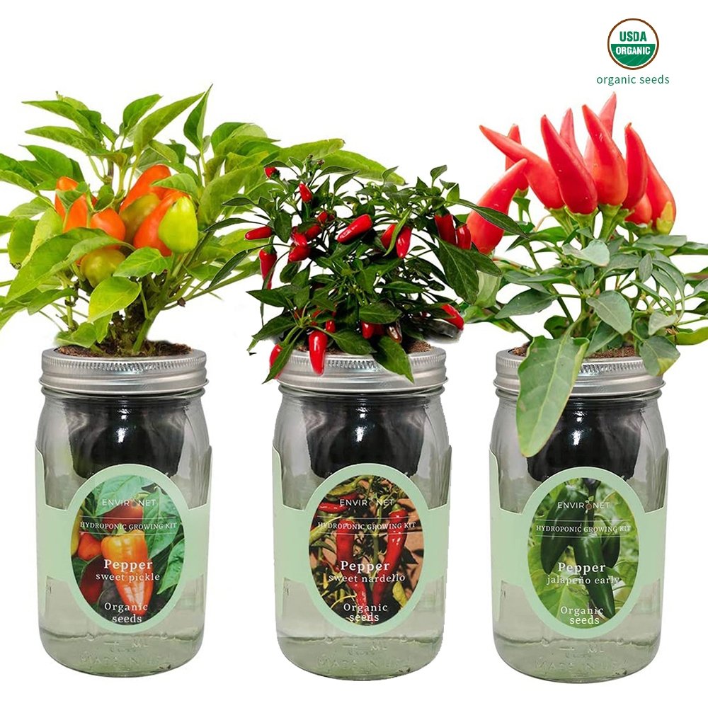 Pepper Garden Trio with Organic Seeds - Sweet Pickle Pepper, Sweet Nardello Pepper, Jalapeno Early Pepper