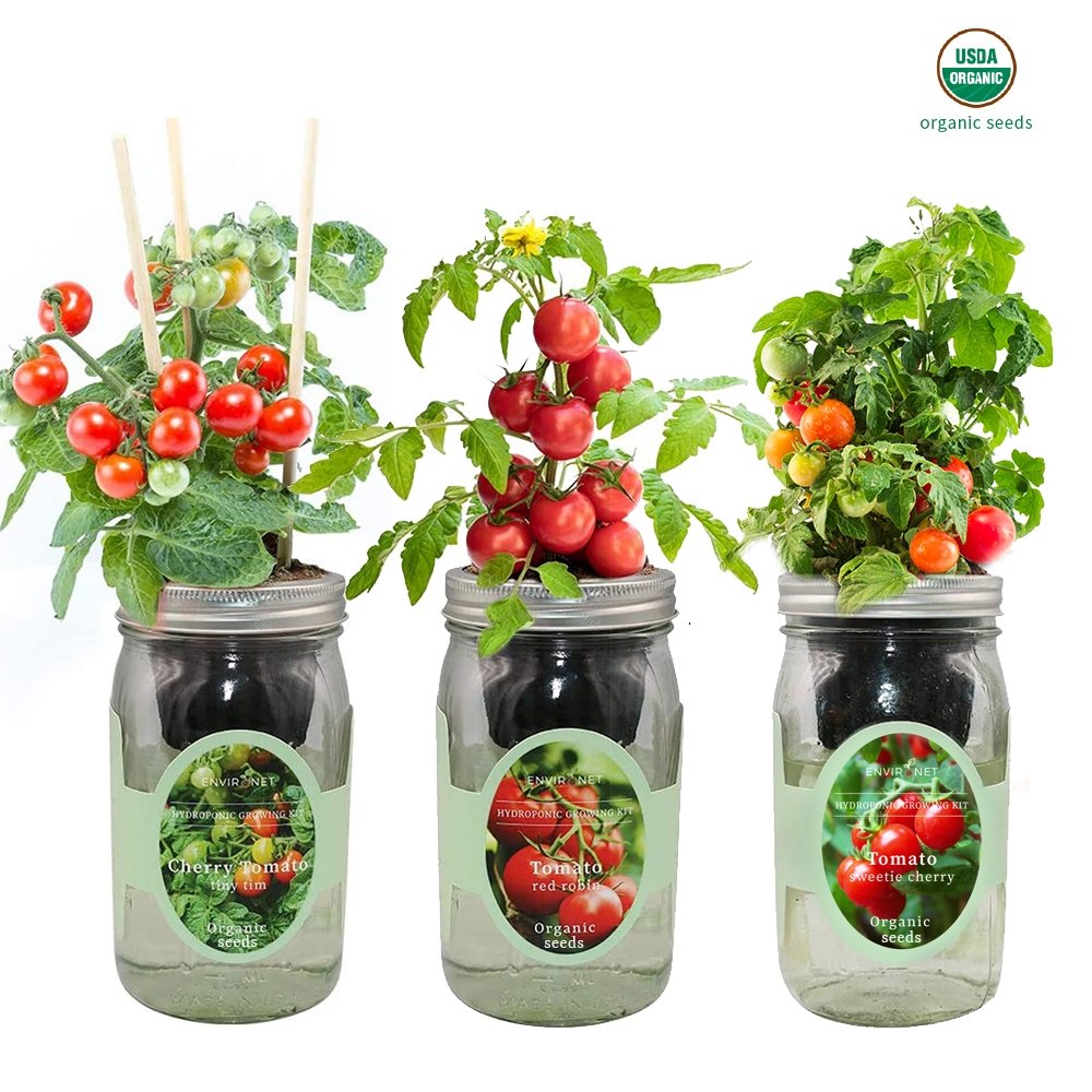 Tomato Garden Trio with Organic Seeds - Tiny Tim Cherry Tomato, Red Robin Tomato, Sweetie Cherry Tomato