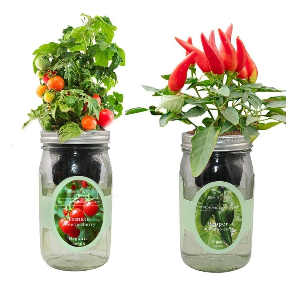 Organic Mason Jar Hydroponic Herb Kit (Sweetie Cherry Tomato,Pepper - Jalapeño Early)