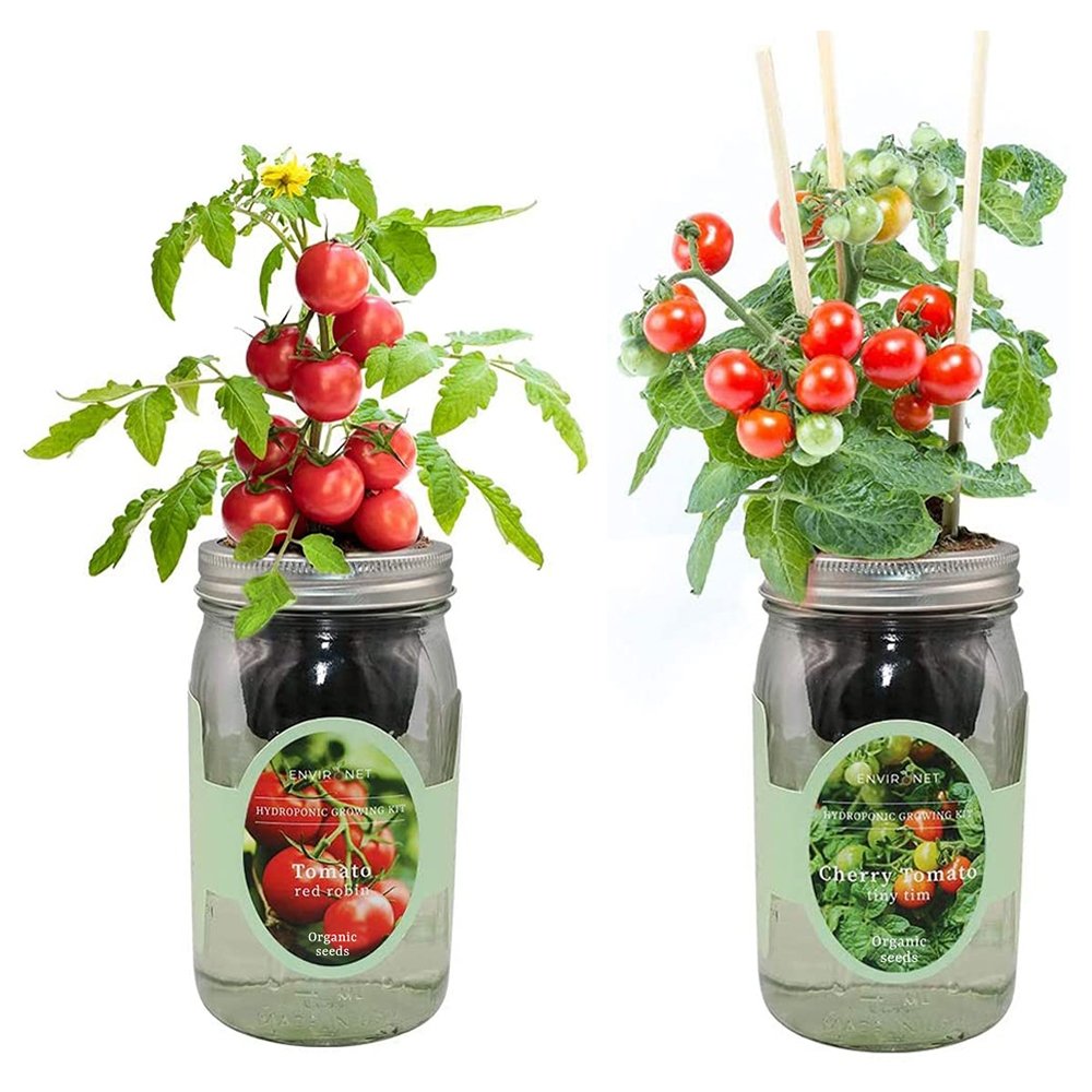Organic Mason Jar Hydroponic Herb Kit (Cherry Tomato - Tiny Tim and Tomato- Red Robin)