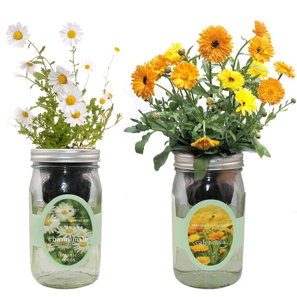 Organic Mason Jar Hydroponic Herb Kit (Calendula and Chamomile)