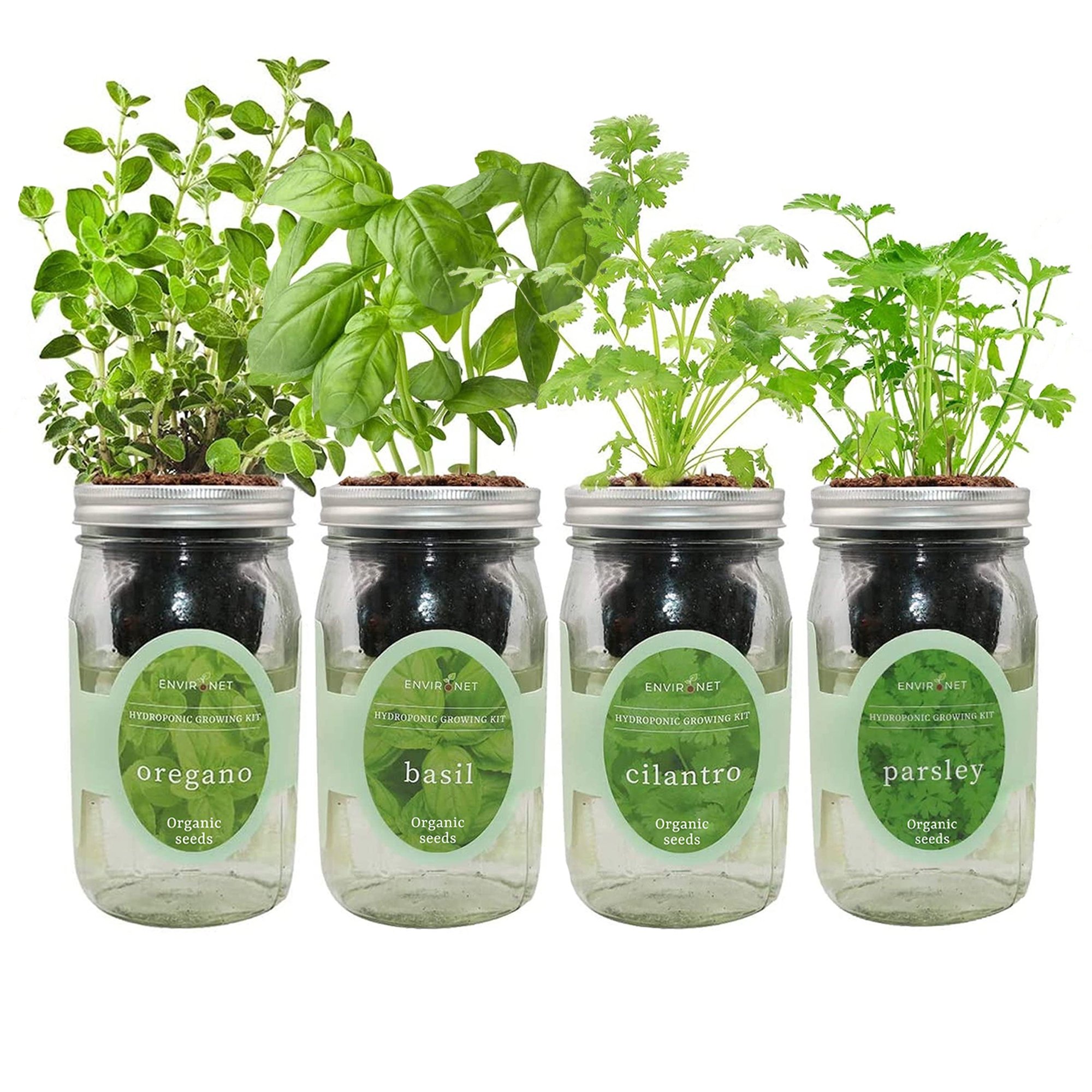 Hydroponic Herb Growing Garden Bundle with Organic Seeds- Cilantro,Basil,Parsley, Oregano