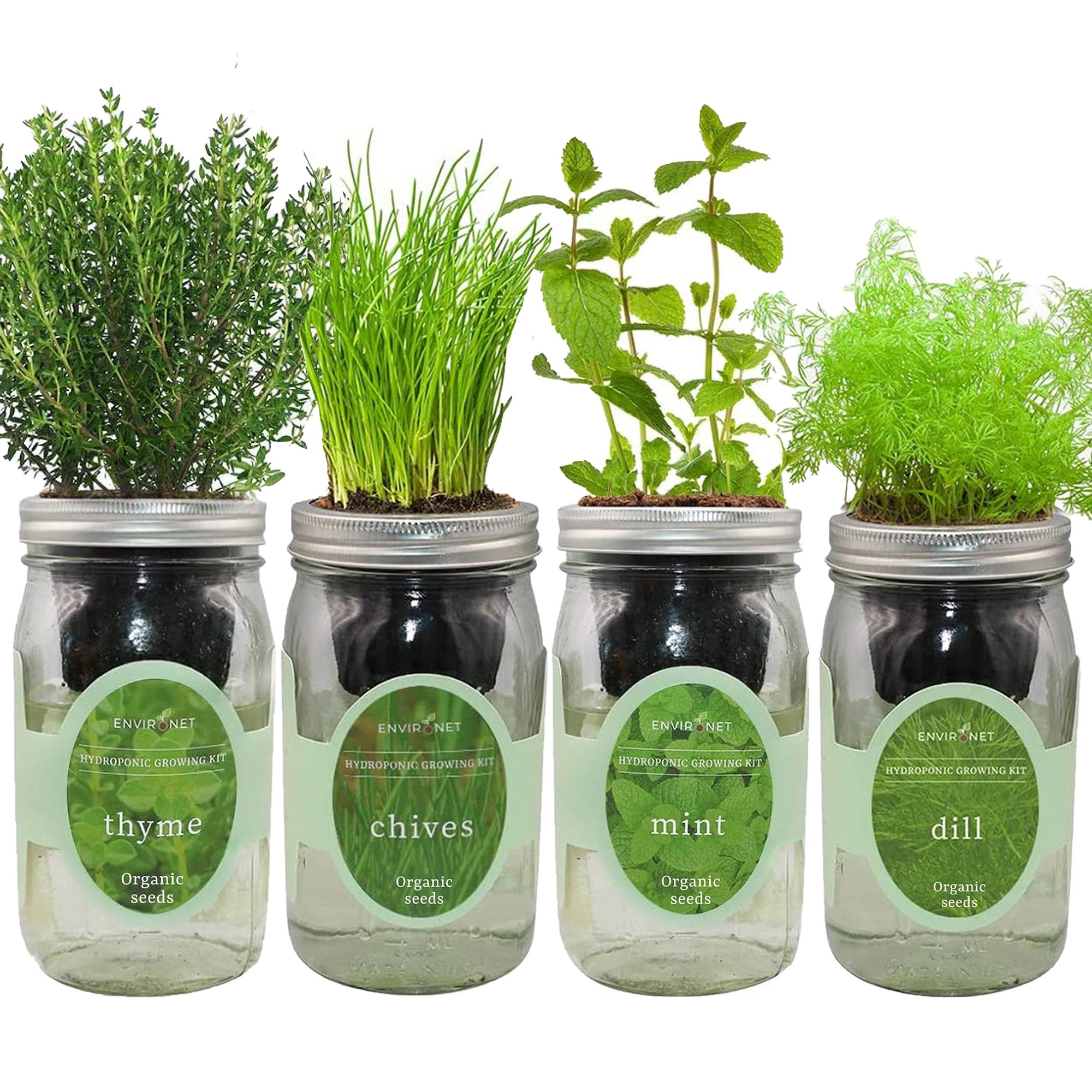 Hydroponic Herb Growing Garden Bundle with Organic Seeds - Mint,Thyme,Chives, Dill