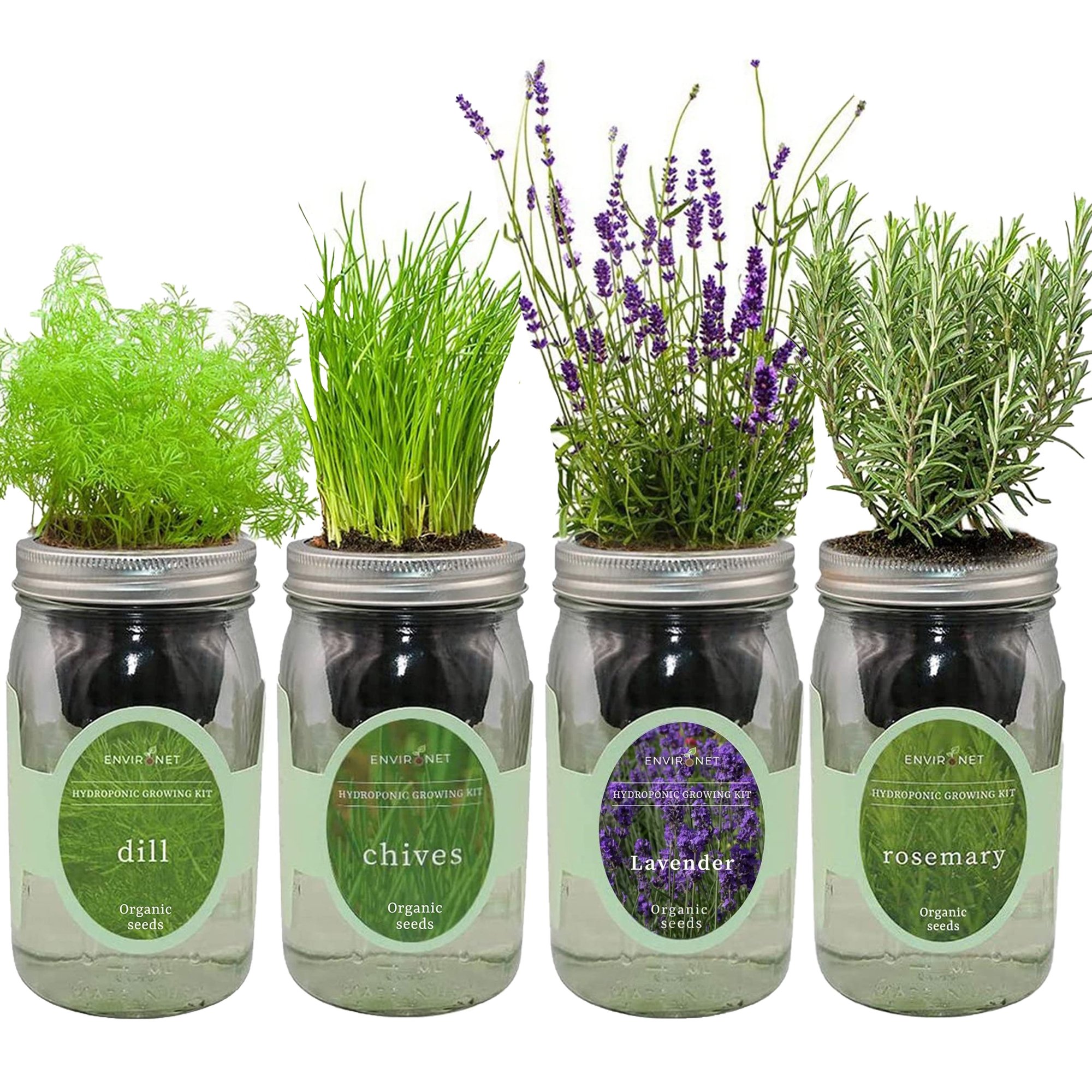 Hydroponic Herb Growing Kit Garden Bundle with Organic Seeds - Chives,Dill,Lavender, Rosemary