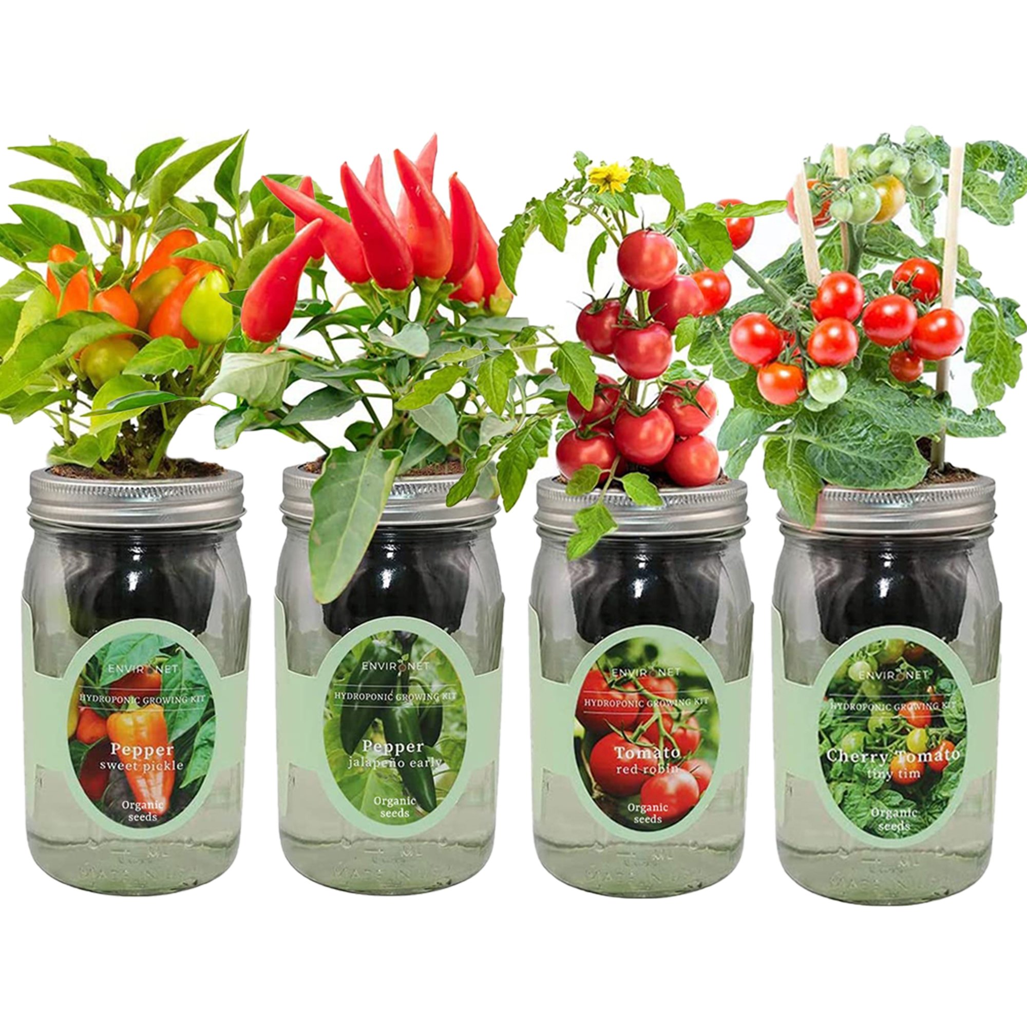 Hydroponic Veggie Growing Kit Garden Bundle with Organic Seeds - Two Tomatos, Two Peppers