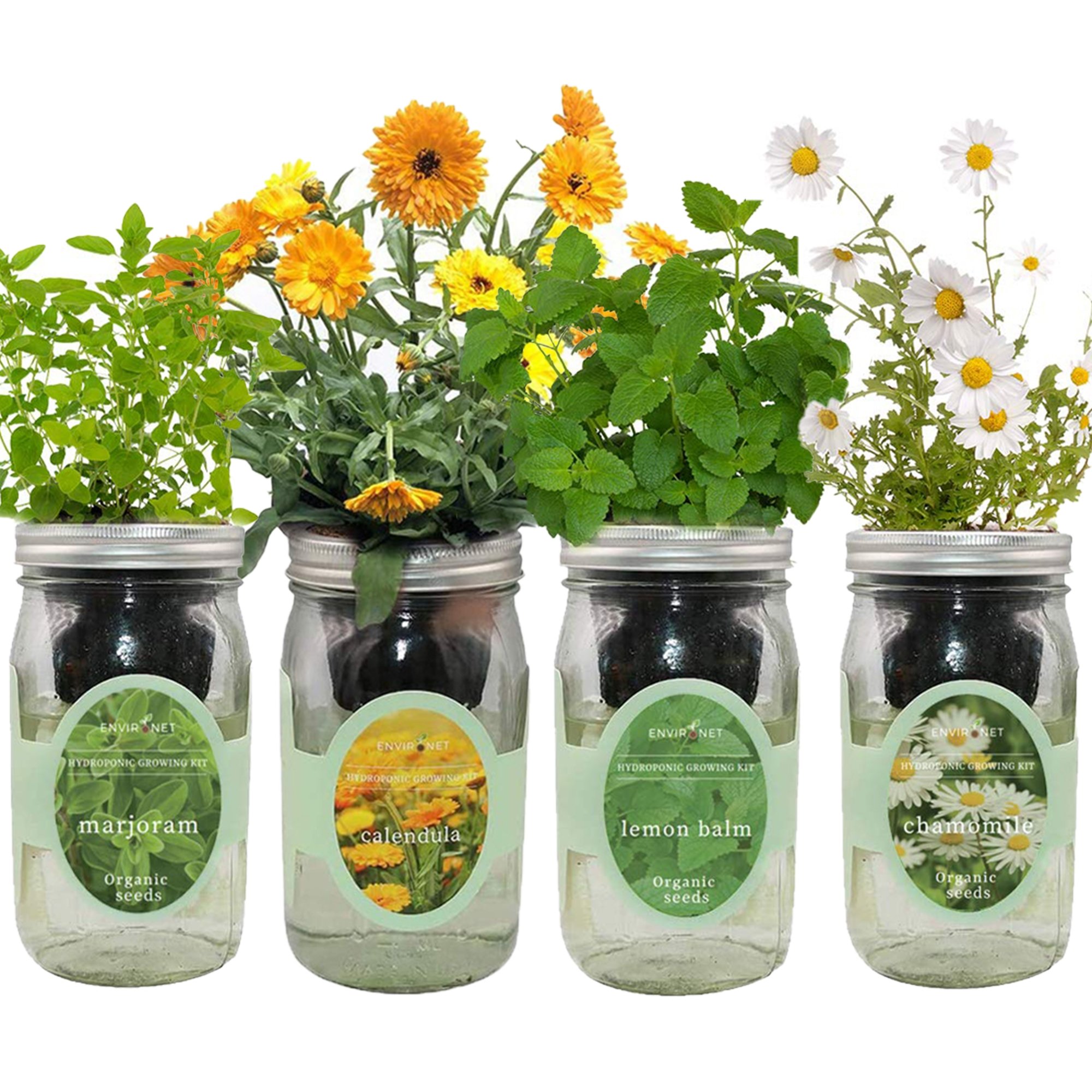 Hydroponic Herb & Flower Growing Kit Garden Bundle with Organic Seeds - Calendula,Chamomile,Lemon Balm, Marjoram