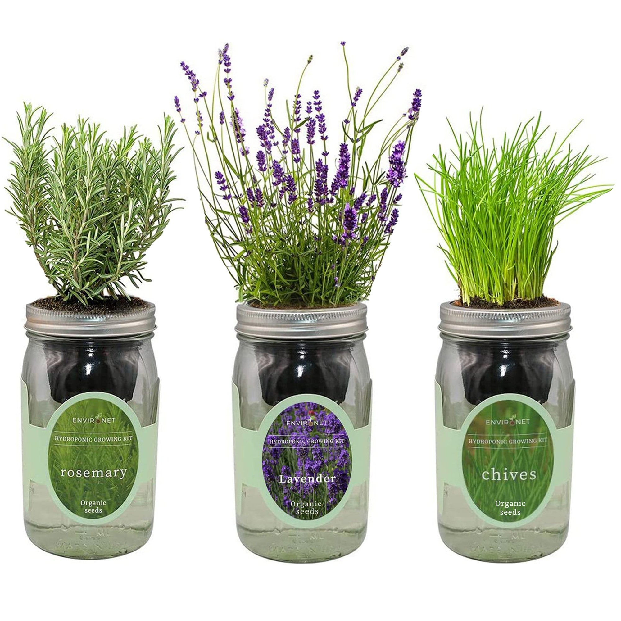 Hydroponic Herb Growing Kit Set with Organic Seeds - Lavender, Rosemary, Chives