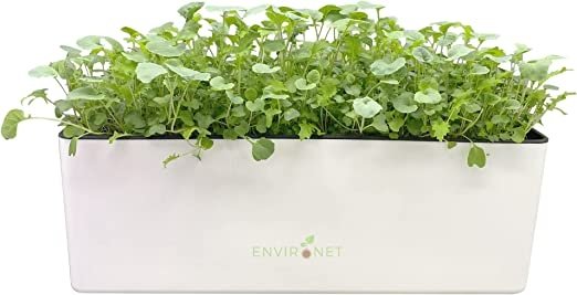 Self-Watering Microgreens Growing Kit