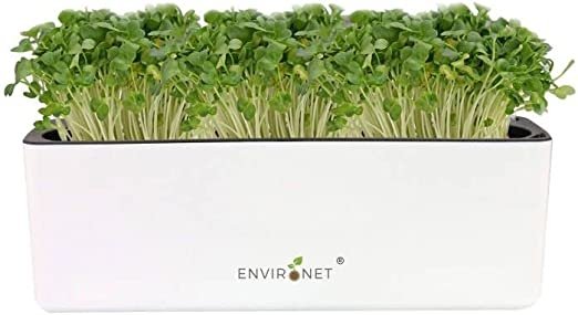 Kale Mix Microgreens Growing Kit Self-Watering