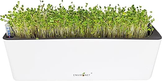 Broccoli Microgreens Growing Kit Self-Watering