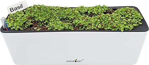 Basil Microgreens Growing Kit Self-Watering