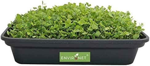 Home Microgreens Growing Kit - Includes Microgreens Growing Tray, Grow Mat and Organic Non-GMO Microgreens Seeds