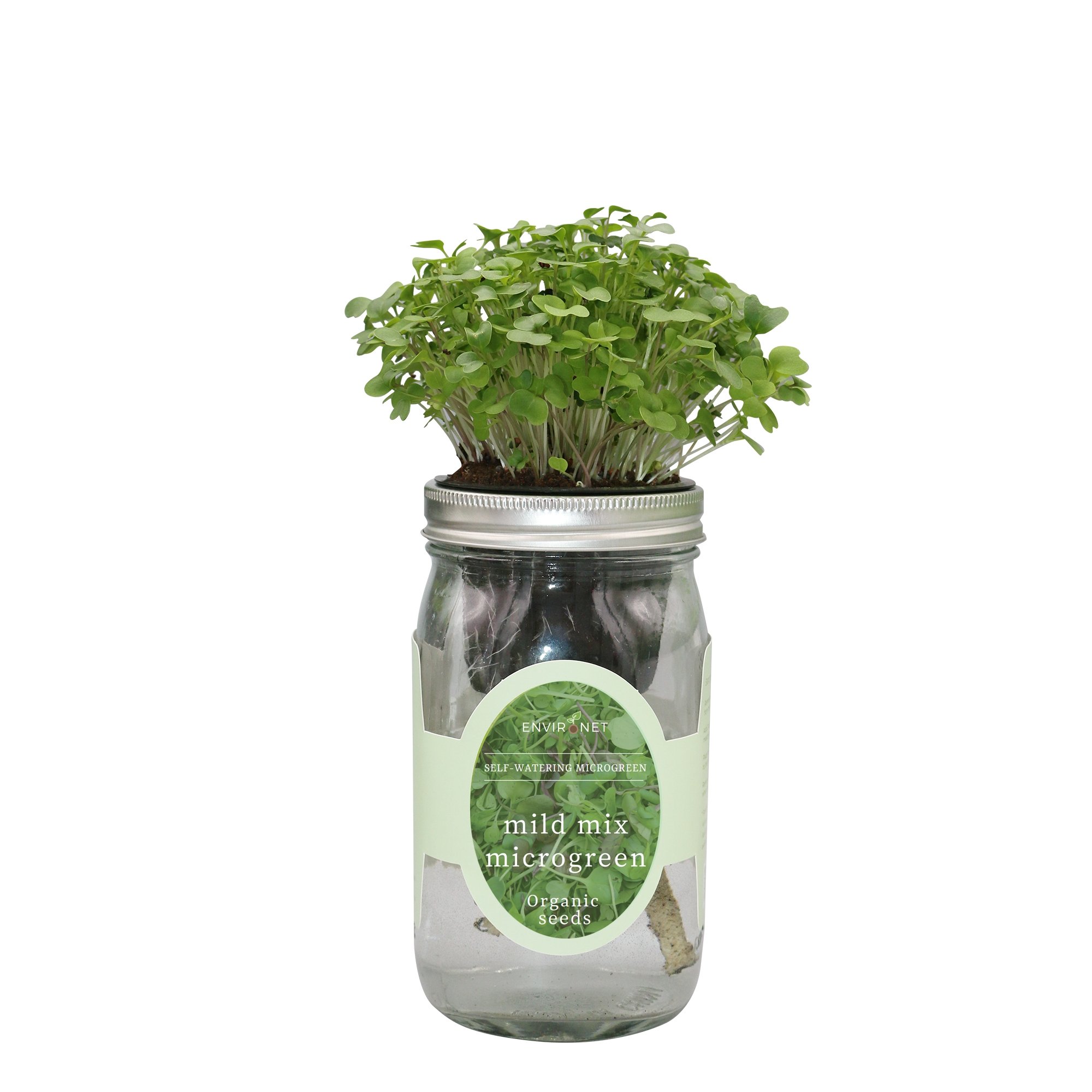Hydroponic Microgreens Growing Kit - Self Watering Mason Jar Growing Kit with Organic Seeds (Mild Mix)