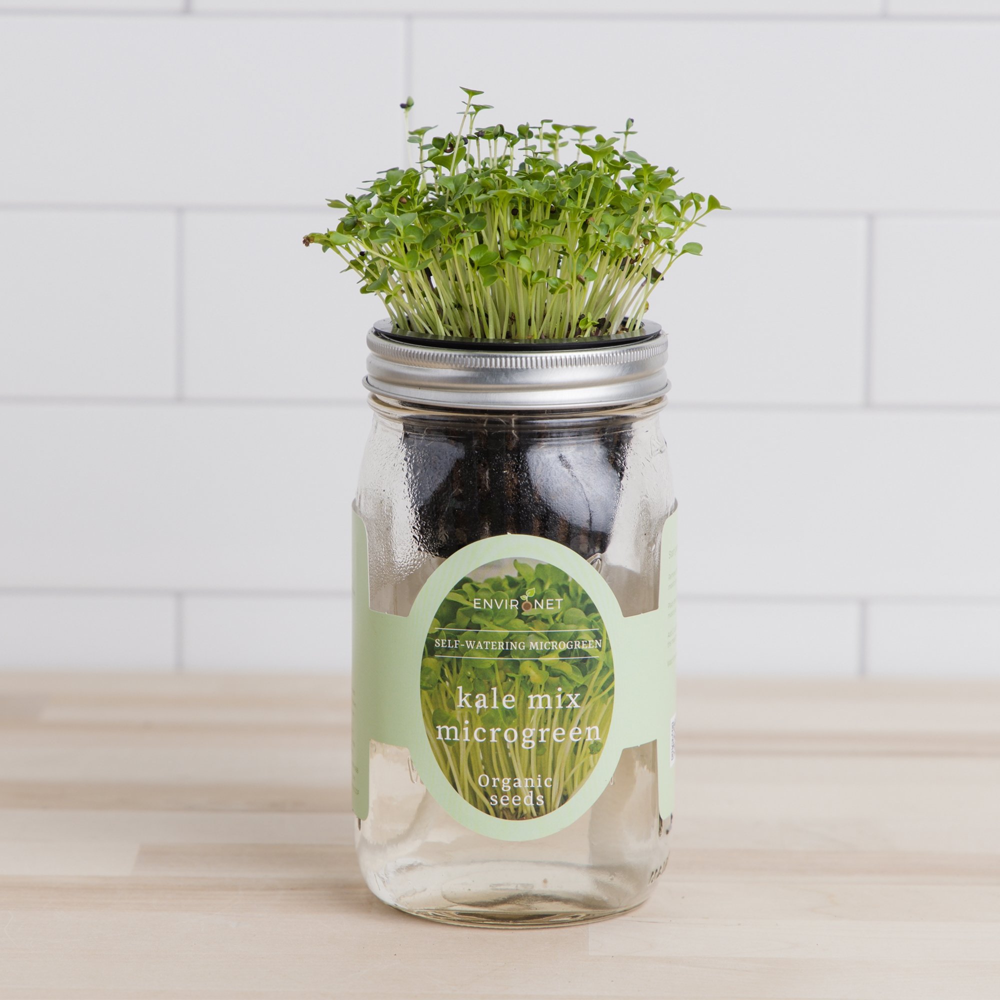 Hydroponic Microgreens Growing Kit - Self Watering Mason Jar Growing Kit with Organic Seeds(Kale Mix)