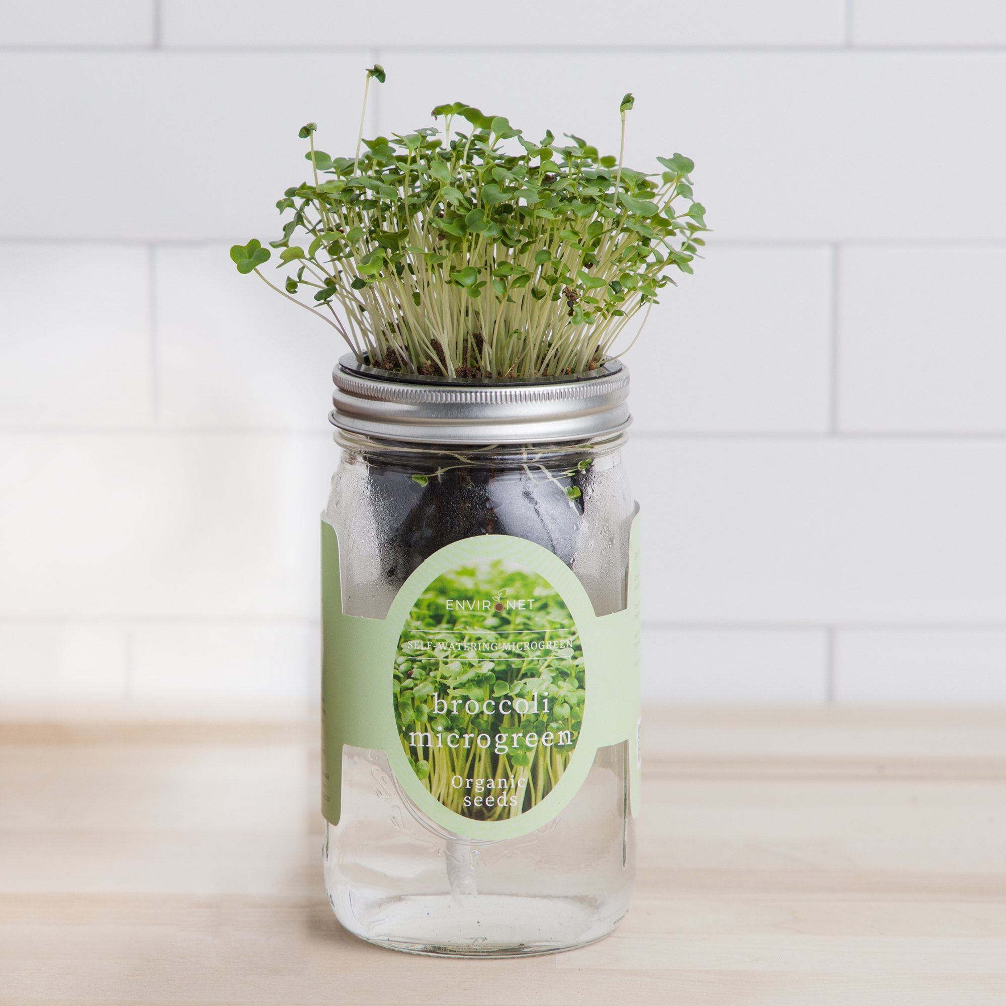 Hydroponic Microgreens Growing Kit - Self Watering Mason Jar Growing Kit with Organic Seeds (Broccoli)