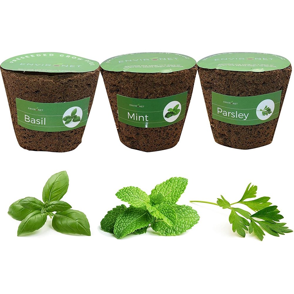 3" Preseeded Hydroponic Plugs - Basil, Mint, Parsley