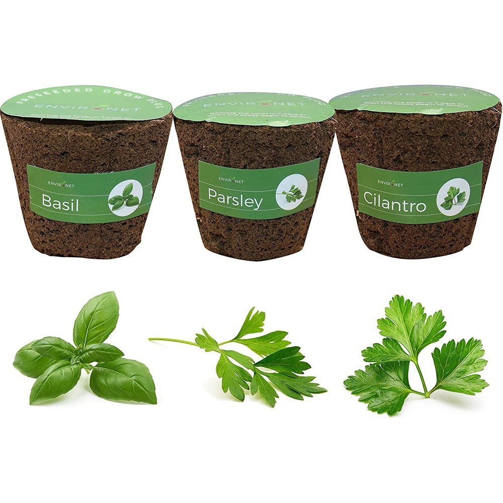 3" Preseeded Hydroponic Plugs - Basil, Parsley, Cilantro