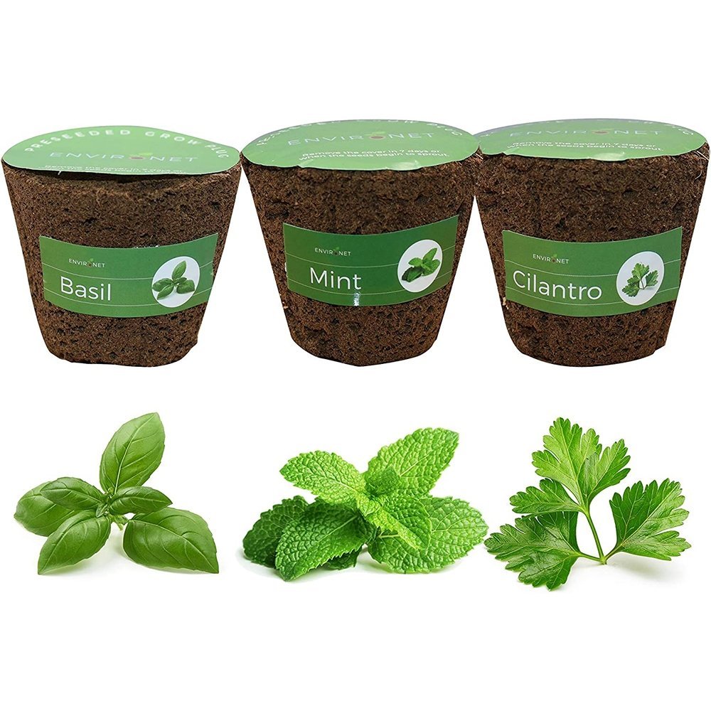 3" Preseeded Hydroponic Plugs - Basil, Mint, Cilantro