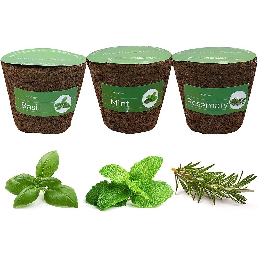 3" Preseeded Hydroponic Plugs - Basil, Mint, Rosemary