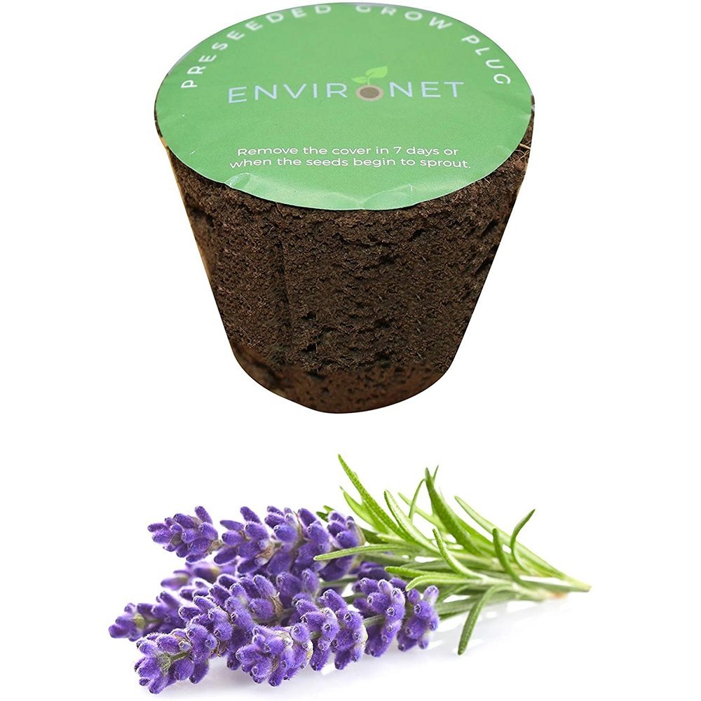 3" Preseeded Herb Seeds Starter Plug - Lavender