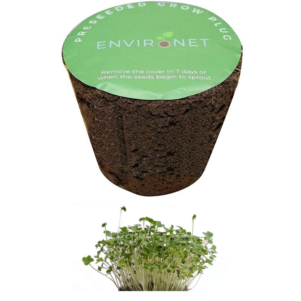Microgreen Seeds Starter Plug - Broccoli